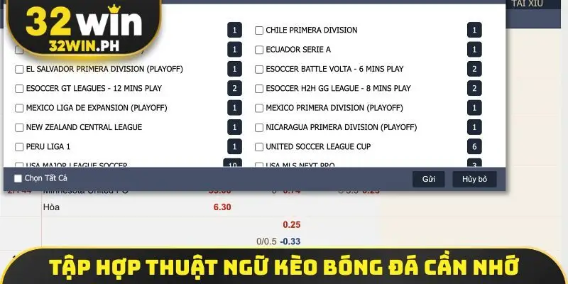 Tập hợp thuật ngữ kèo bóng đá cần nhớ