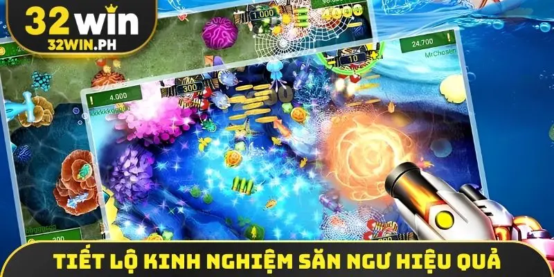 Tiết lộ kinh nghiệm săn ngư hiệu quả